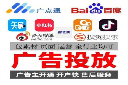 成功SEM服务案例：优化广告投放